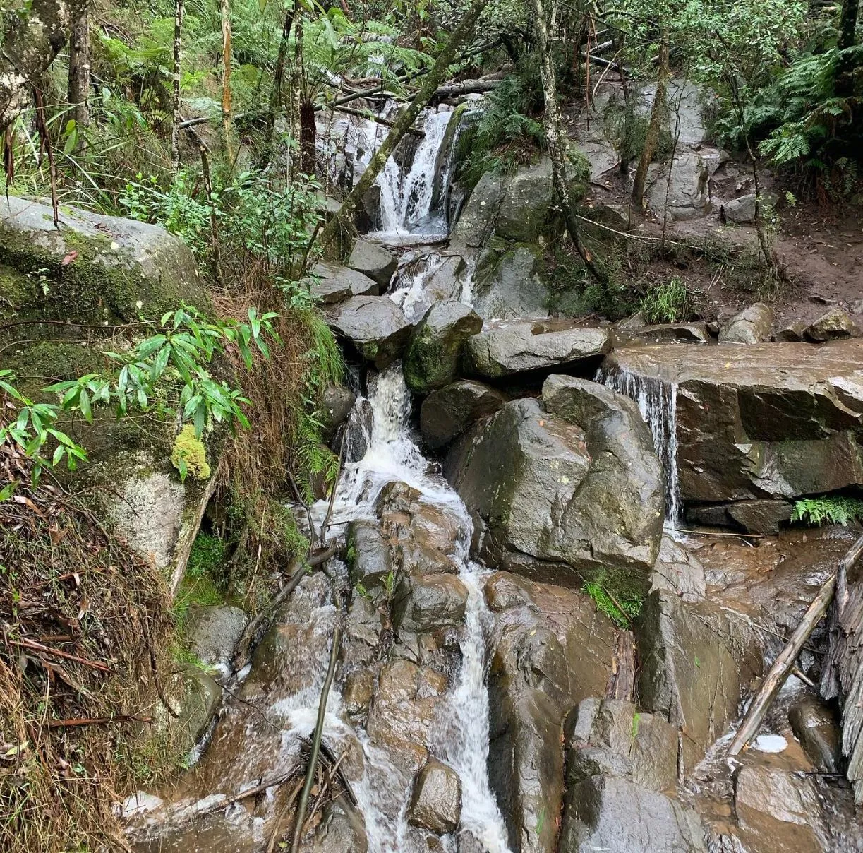 Discover Olinda Falls Lookout