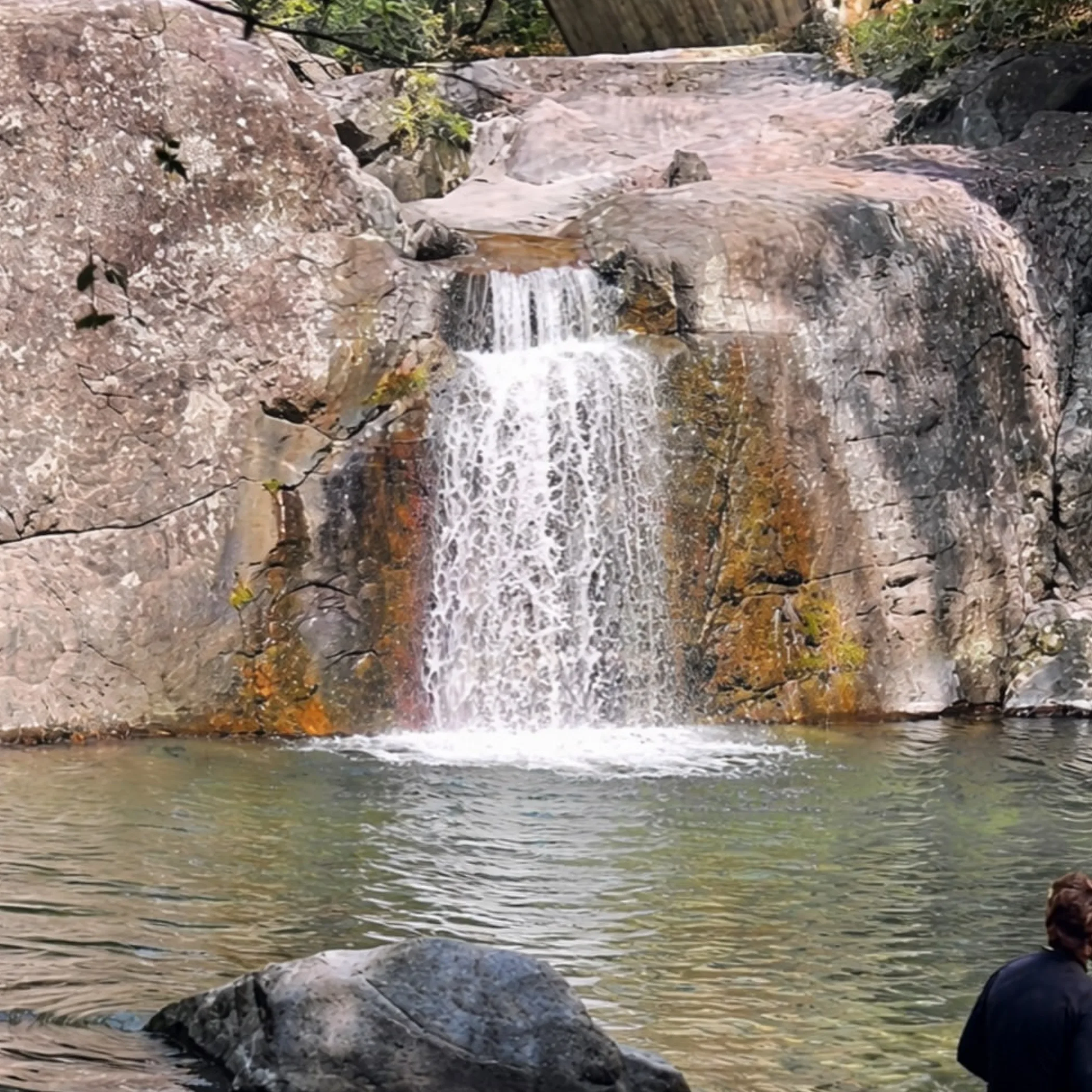 waterfall and swimming spot in forest