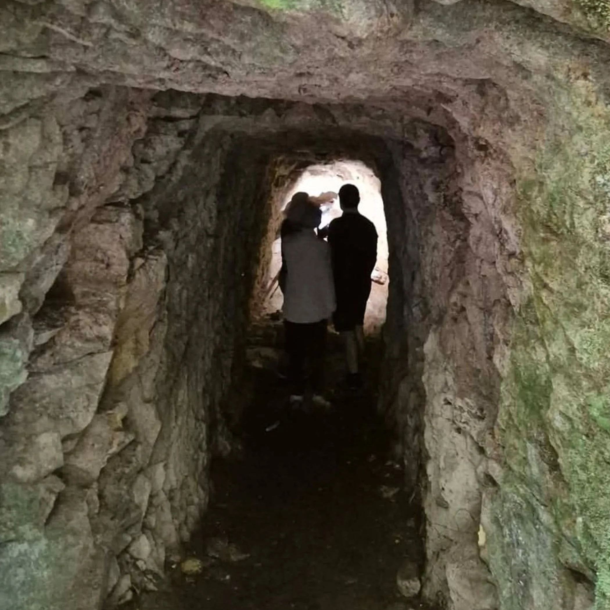 old mining tunnel in forest