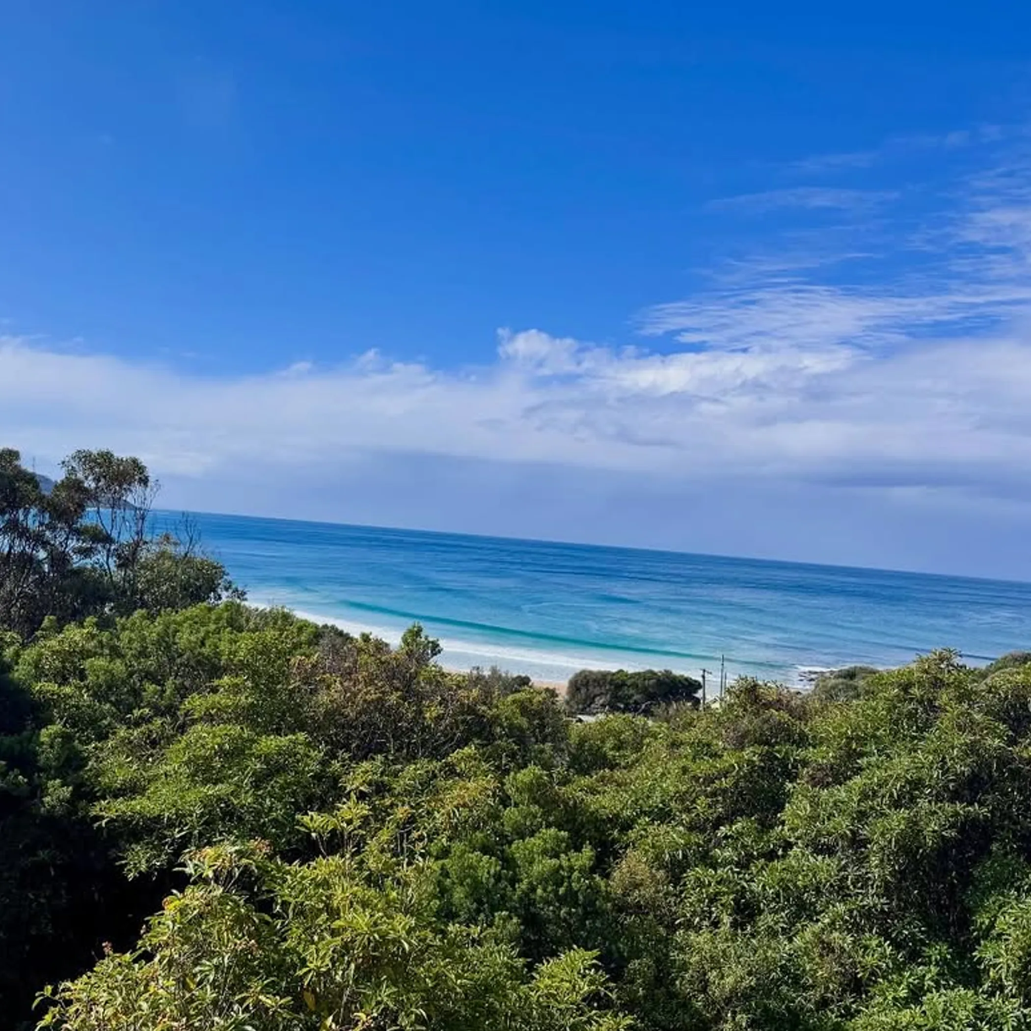coastal beach scene