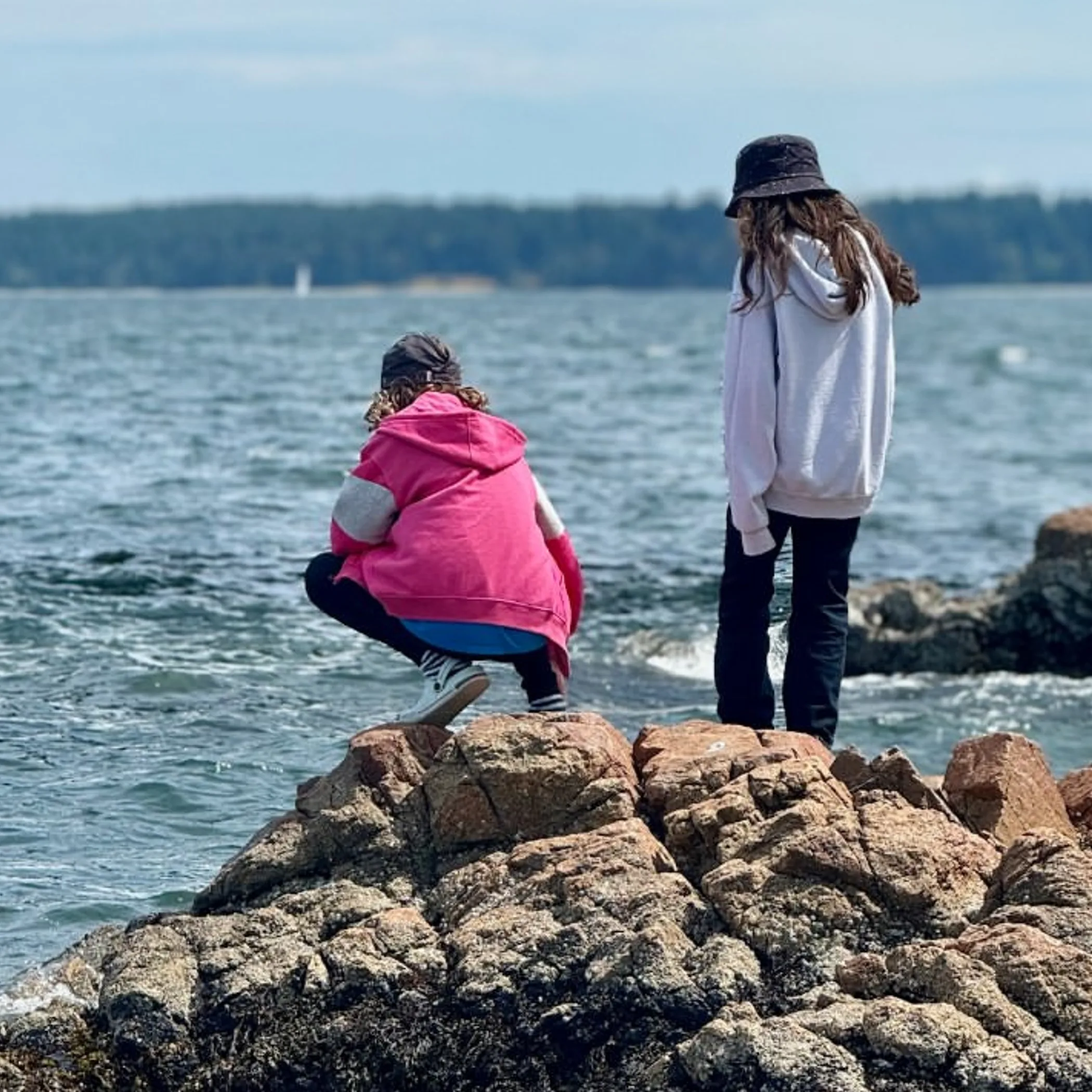 rocky shoreline and ocean